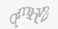 Защитный код